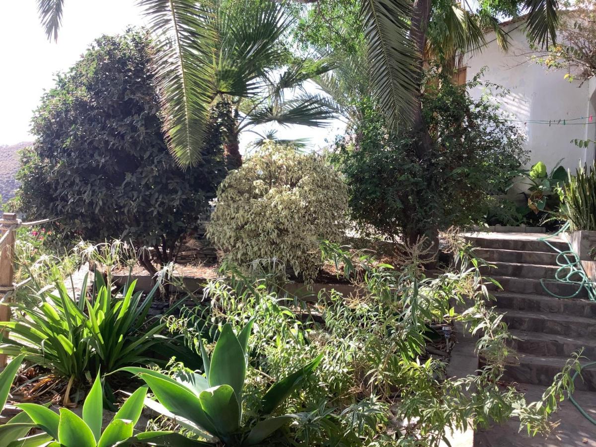 Apartmán Cortijo De La Fuente Albunol Exteriér fotografie